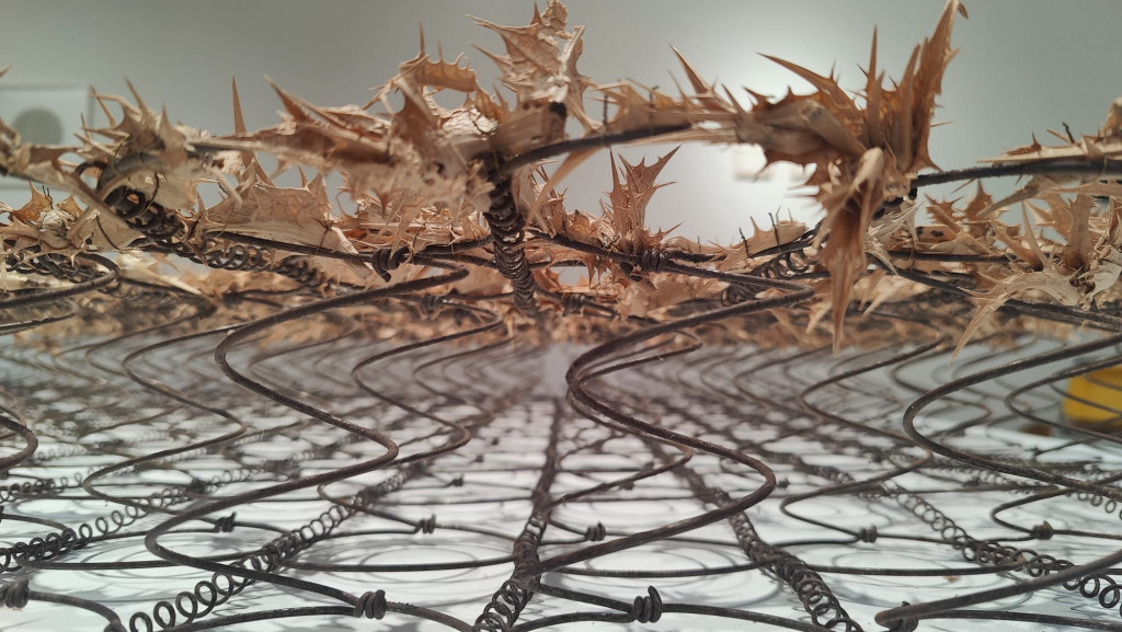 Close up of battered mattress completely intertwined with thistle flowers.