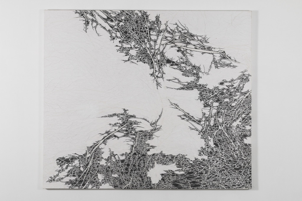 Abstract artworks featuring intricate black lines on a textured white background.