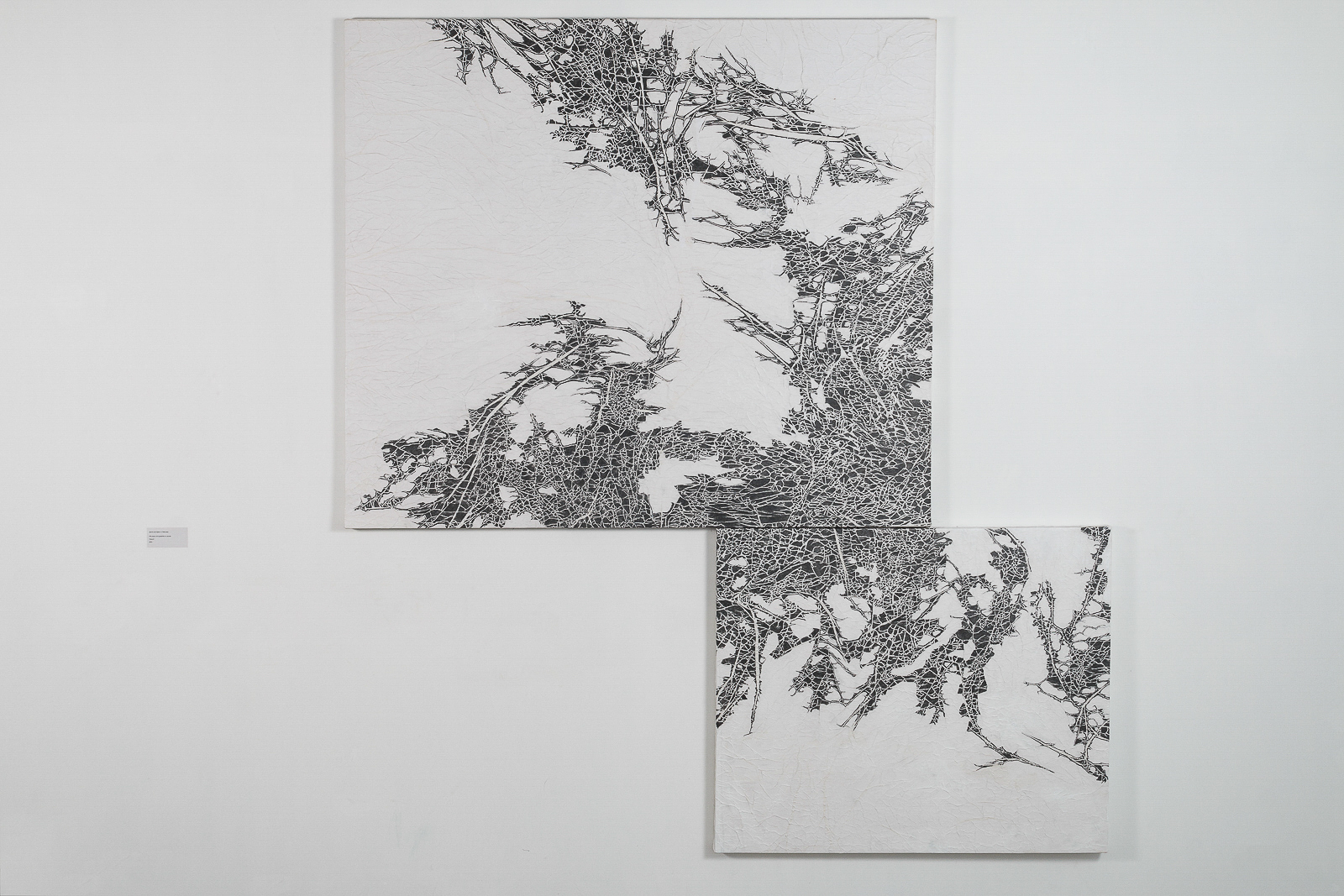 Two Abstract artworks featuring intricate black lines on a textured white background.