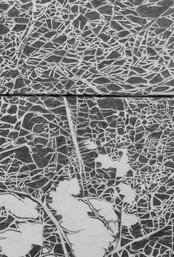 Detail abstract artworks featuring intricate black lines on a textured white background.