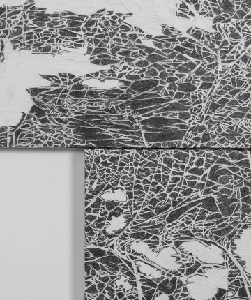 Detail abstract artworks featuring intricate black lines on a textured white background. Nadia Kaabi-Linke, Spic and Span.