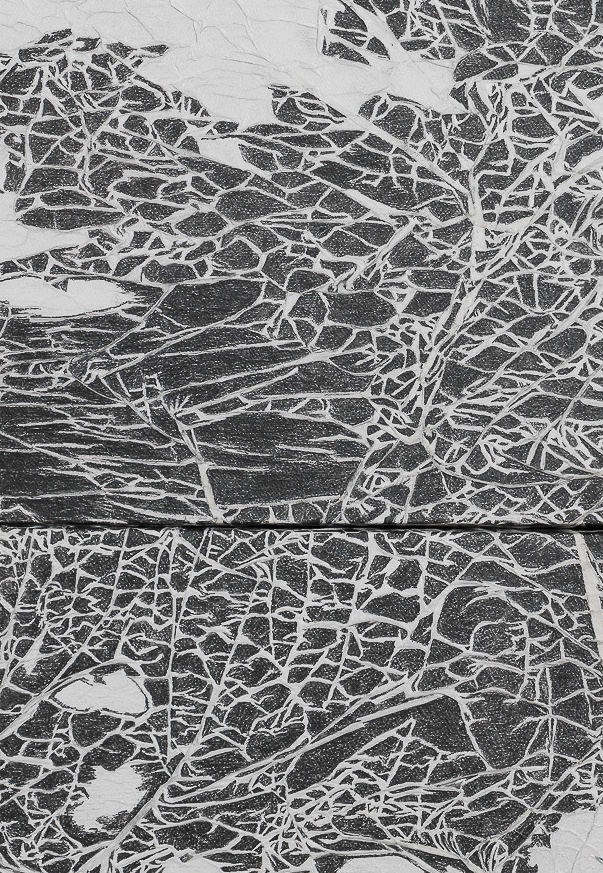 Detail abstract artworks featuring intricate black lines on a textured white background.