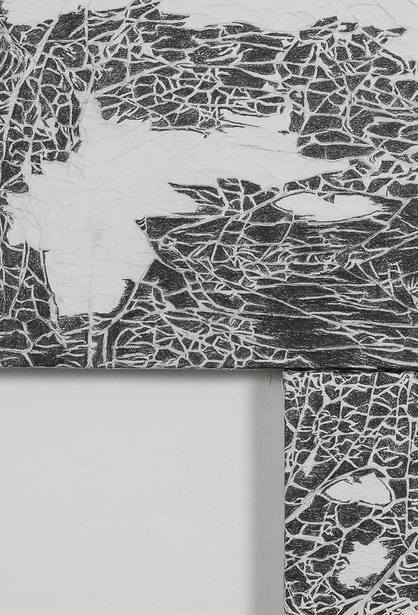 Detail abstract artworks featuring intricate black lines on a textured white background.