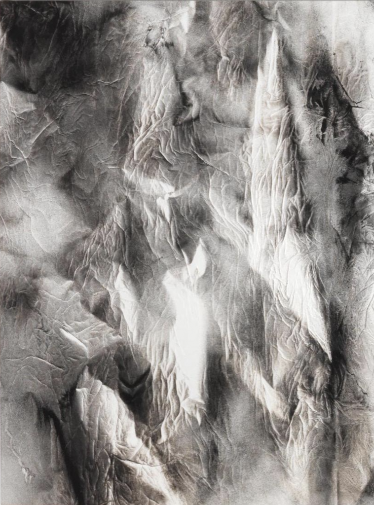 Close up of an abstract black and white painting featuring intricate lines and textures, resembling organic forms or geological patterns on a textured surface.