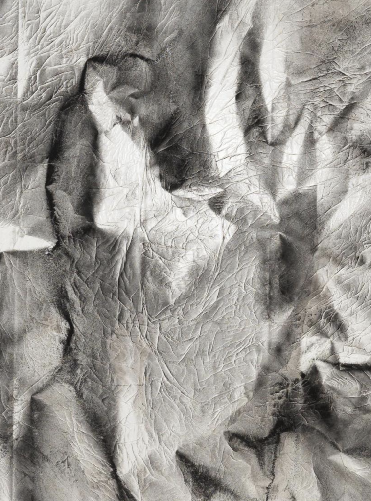 Close up of an abstract black and white painting featuring intricate lines and textures, resembling organic forms or geological patterns on a textured surface.