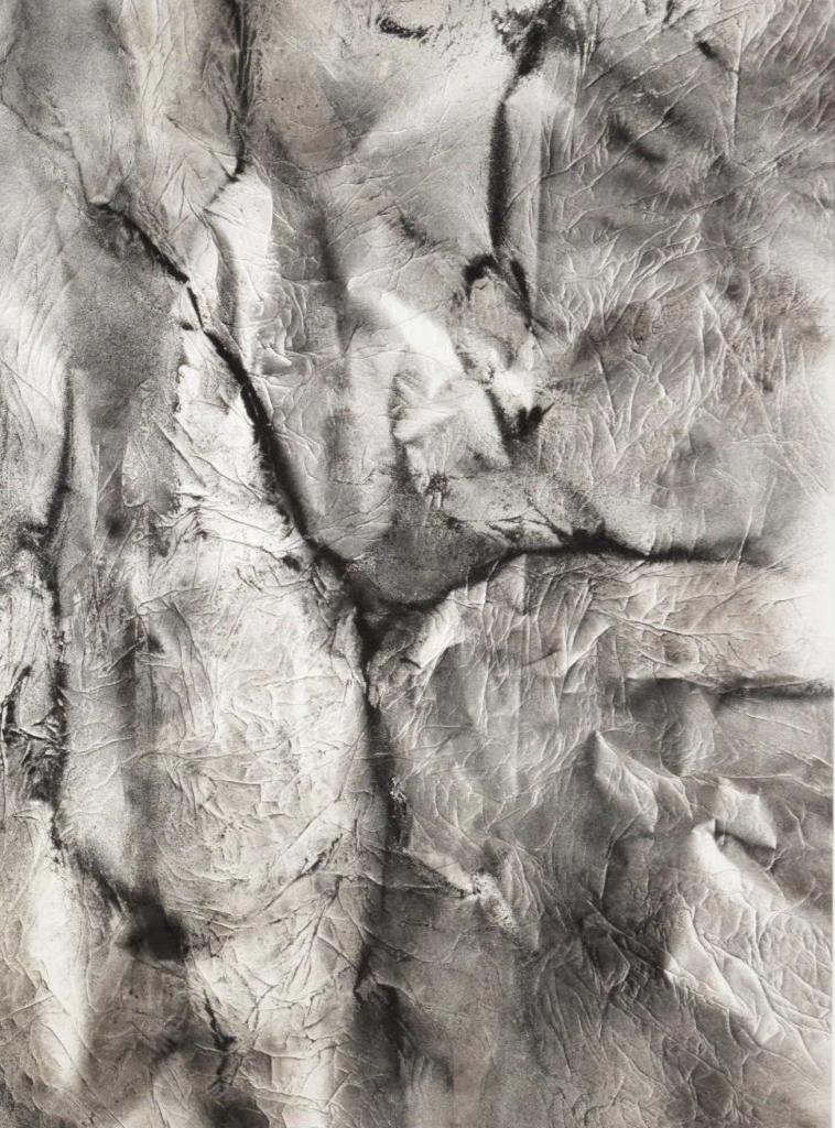 Close up of an abstract black and white painting featuring intricate lines and textures, resembling organic forms or geological patterns on a textured surface.