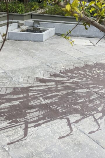 View from the top onto a square whit plants and a public artwork set in the ground, it shows the shadows of a bike during on day. Nadia Kaabi-Linke, One Day on Two Orbits.