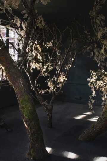 An oak tree stands in a dark room, illuminated only by a few rays of light streaming through the windows. Nadia Kaabi-Linke, Mumble of the Homecoming Oak.