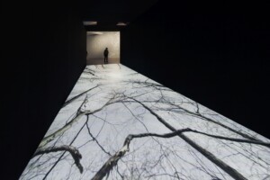 A dark Room with video projection of threes and branches against the sky. In the back a person standing in the entryway.