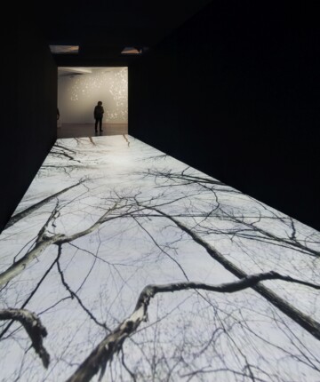 A dark Room with video projection of threes and branches against the sky. In the back a person standing in the entryway. Nadia Kaabi-Linke Bud'mo