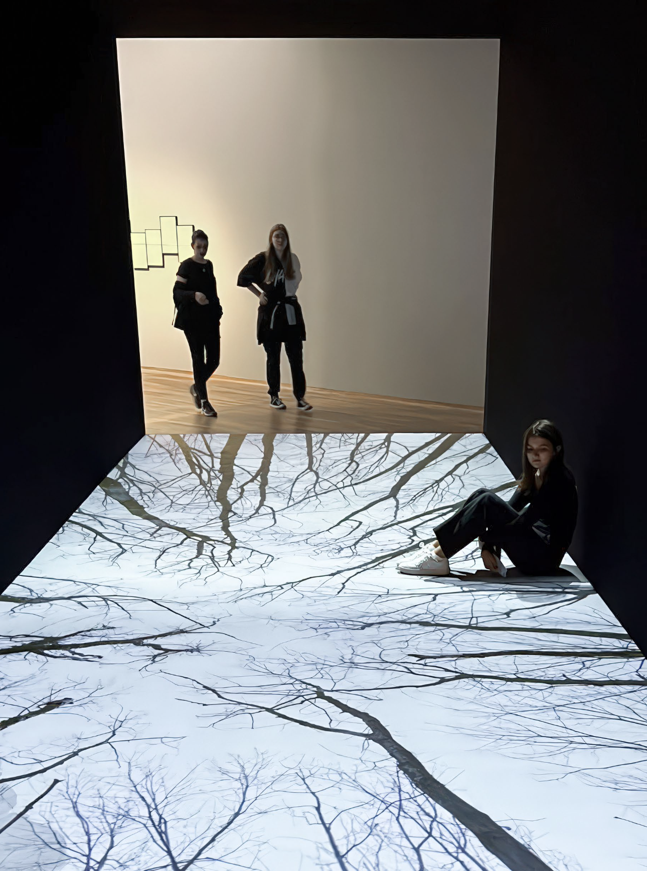 A dark Room with video projection of threes and branches against the sky. Visitors of the museum sit and stand along