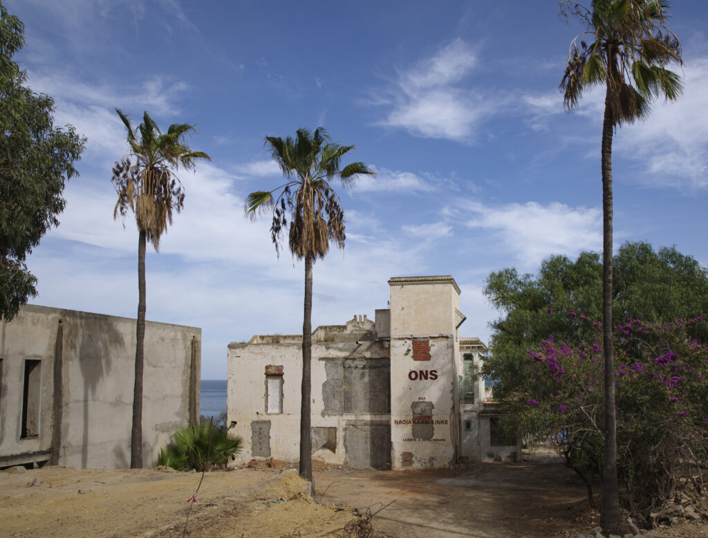 An abandoned place with two houses, and palm trees in the foreground.