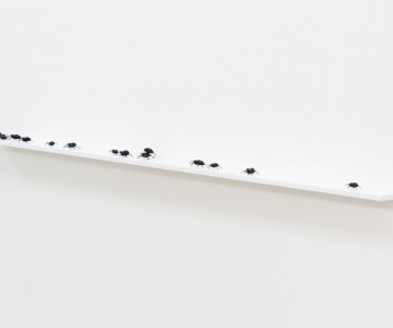 Wall sculpture that is comprised of a white shelf set at a tilt, crawling with glass reproductions of Scarabaeus sacer. Nadia Kaabi-Linke , Bugs.