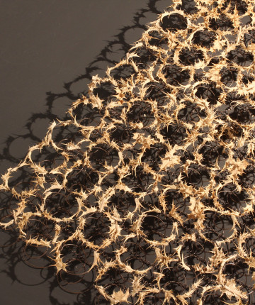 A battered mattress completely intertwined with thistle flowers, laying on a black industrial floor, symbolizing resistance against oppression and overlooked abuse. Nadia Kaabi-Linke, No One Harms Me Unpunished.