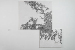 Two Abstract artworks featuring intricate black lines on a textured white background.
