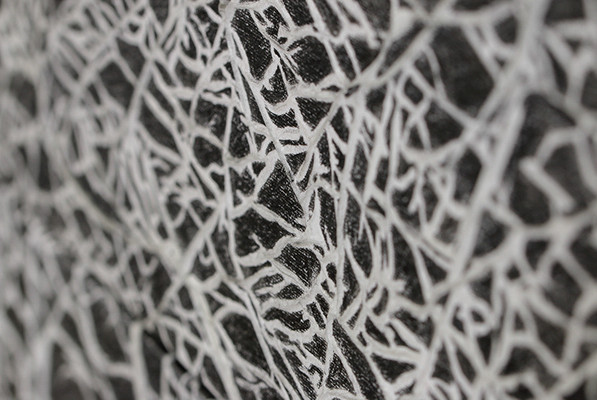 Close-up of an abstract black and white textured surface, featuring intricate patterns resembling intertwining lines and shapes.