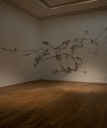 Bonner Mythologien, 2017, Installation view at 'versiegelte Zeit/Sealed Time' Kunstmuseum Bonn, Nadia Kaabi-Linke