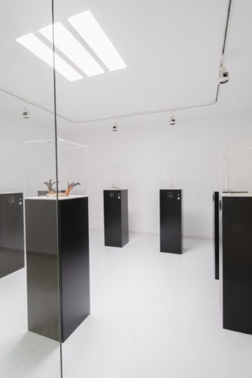 In a room there are several black pedestals on which objects lie behind a glass display case. Nadia Kaabi-Linke Disarmed Metaphysical Objects