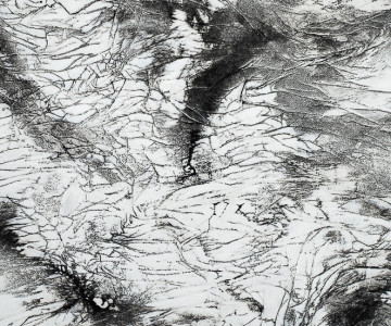A pattern of lignite on paper on canvas. Nadia Kaabi-Linke, Kula: Black Dove.
