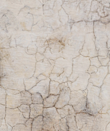 Traces of wall cracks due to weathering on canvas. Detail of the painting "Ministry of Tourism," 2011, by Nadia Kaabi-Linke.