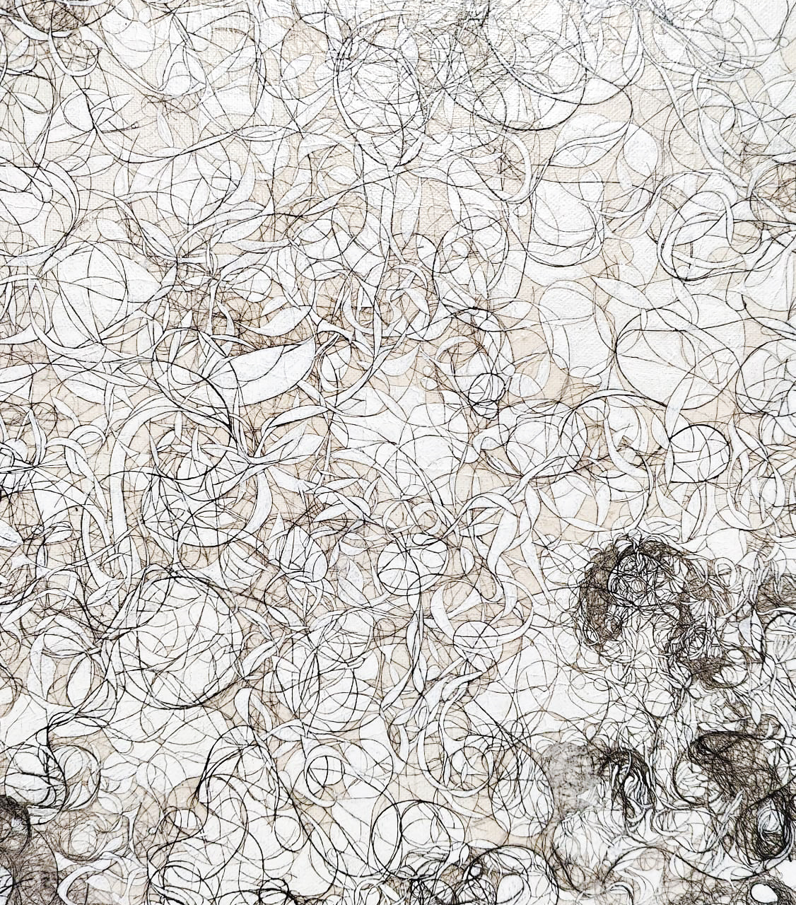 Abstract detail with black curves and lines on white canvas