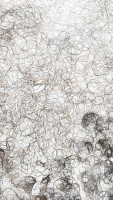 Abstract detail with black curves and lines on white canvas