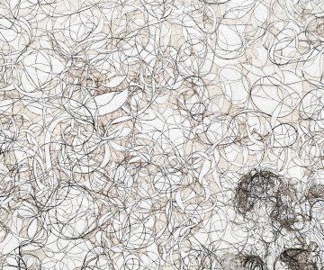 Abstract detail with black curves and lines on white canvas