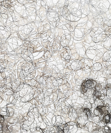 Abstract detail with black curves and lines on white canvas