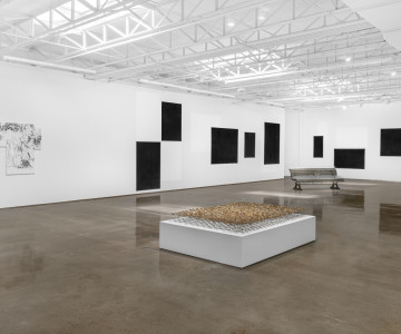 White gallery space with an industrial ceiling and sculpture with dried thistles, black and white drawings on three canvasses, a spiked park bench, black panels, and white shapes on a white wall. Nadia Kaabi-Linke We Didn’t Know We’re Ready