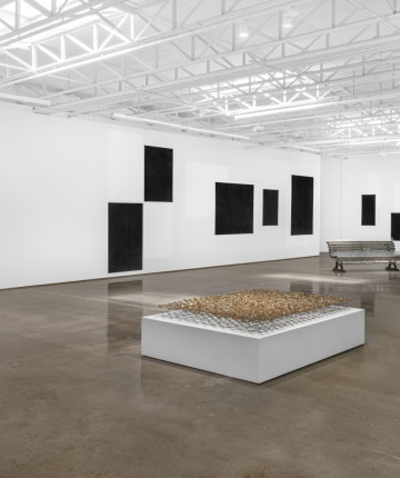 White gallery space with an industrial ceiling and sculpture with dried thistles, black and white drawings on three canvasses, a spiked park bench, black panels, and white shapes on a white wall.