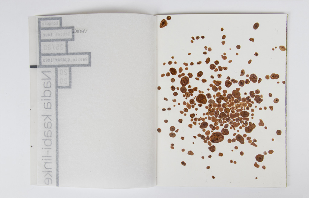 Open artist book with brown specks on the right side.