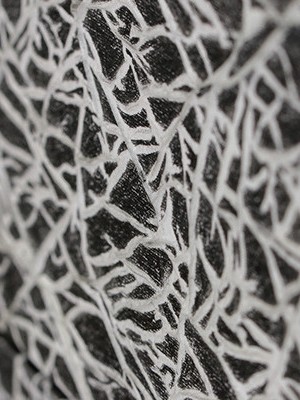 CLose up of abstract artwork featuring intricate black lines on a textured white background.