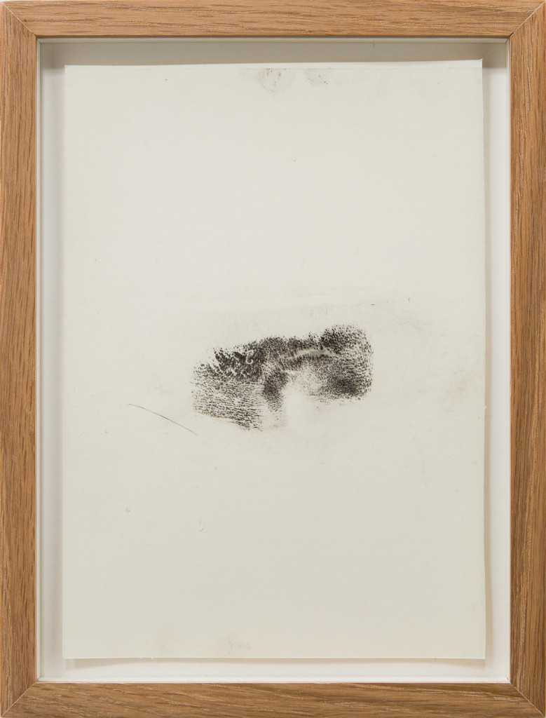 Transfer print of body parts with black velvet powder on film and paper, framed.