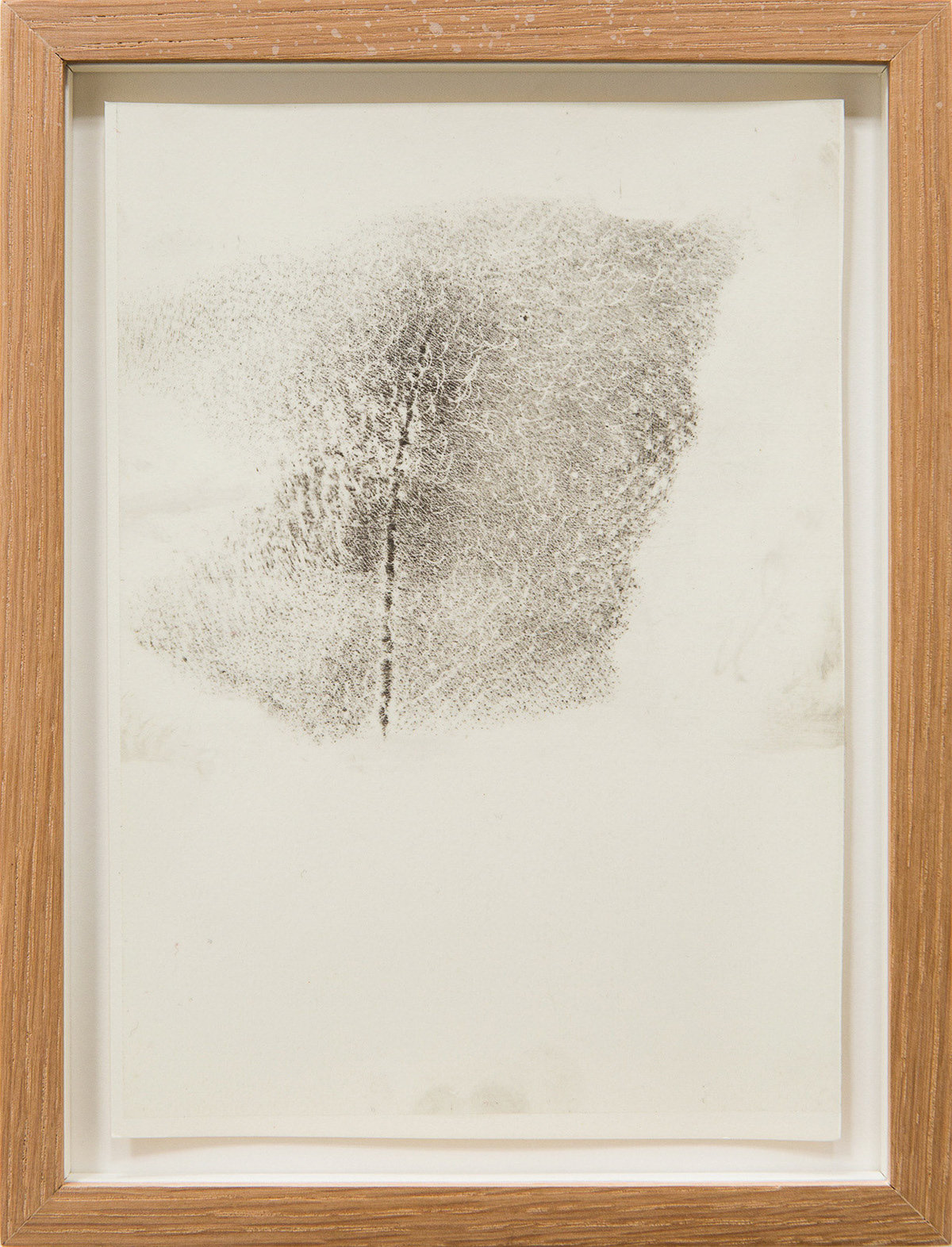 Transfer prints of body parts with black velvet powder on film and paper, framed.
