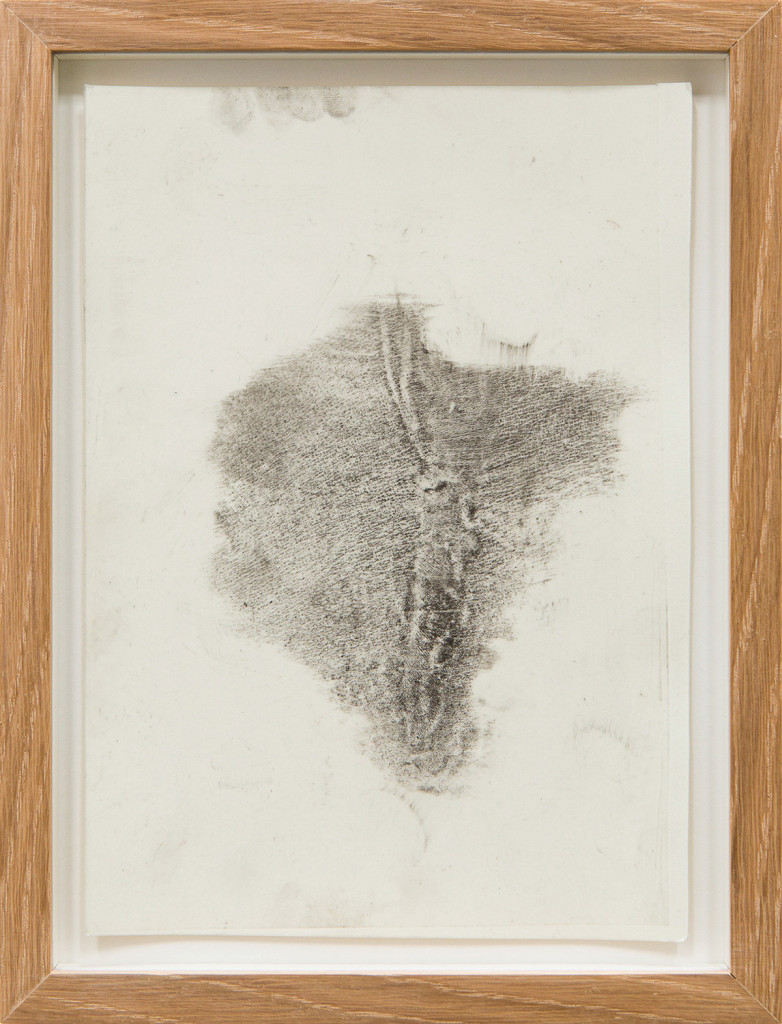 Transfer prints of body parts with black velvet powder on film and paper, framed.