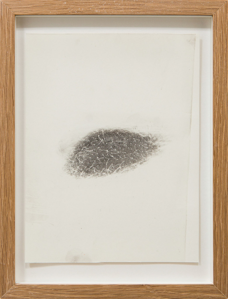 Transfer prints of body parts with black velvet powder on film and paper, framed.