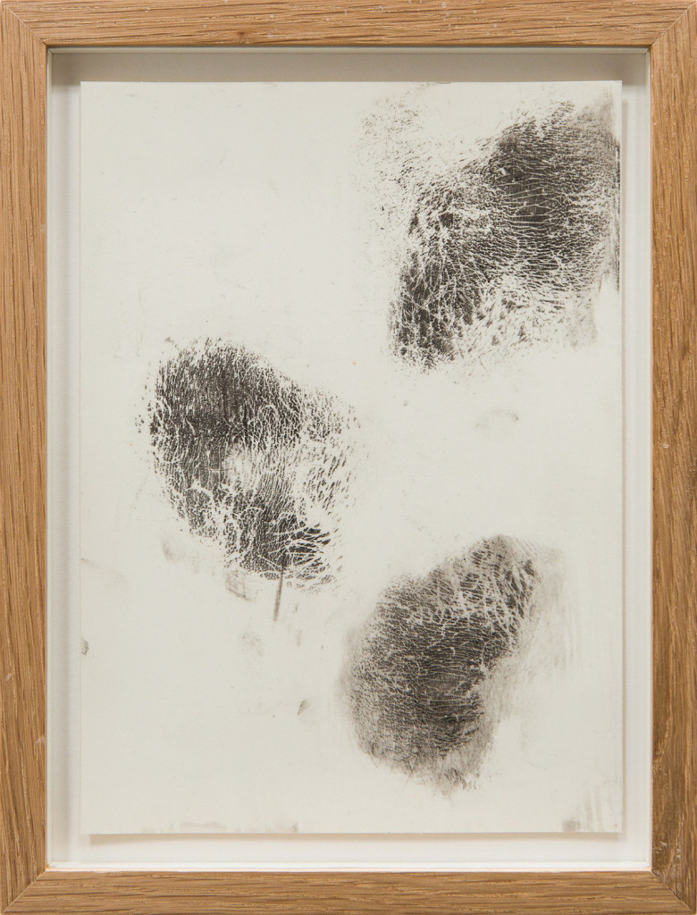 Transfer prints of body parts with black velvet powder on film and paper, framed.