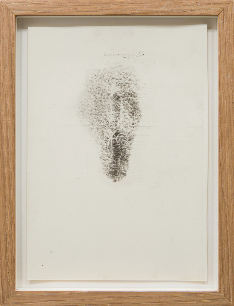 Transfer prints of body parts with black velvet powder on film and paper, framed.