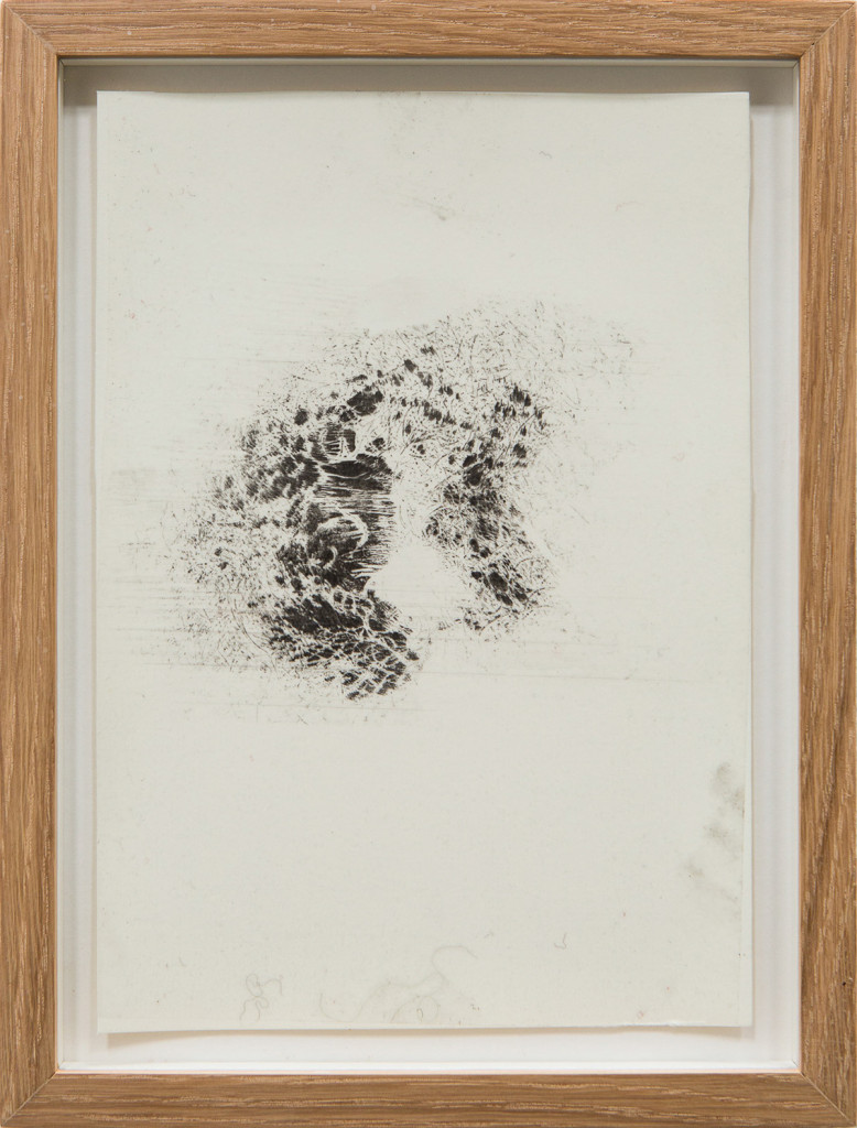 Transfer prints of body parts with black velvet powder on film and paper, framed.