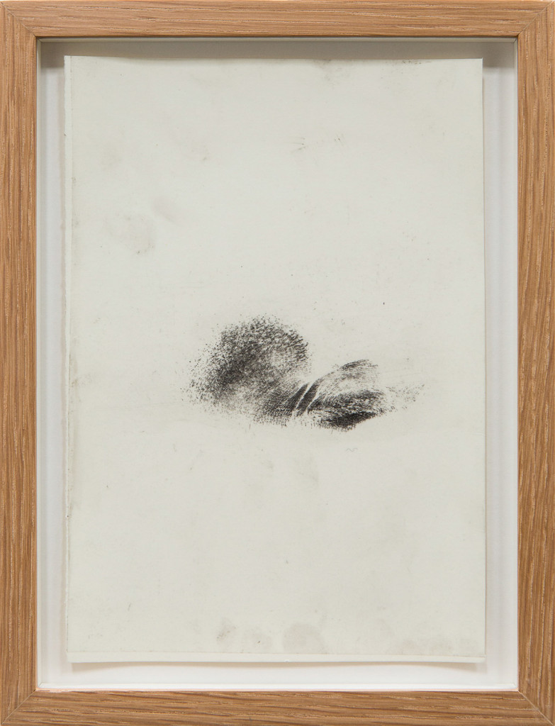 Transfer prints of body parts with black velvet powder on film and paper, framed.