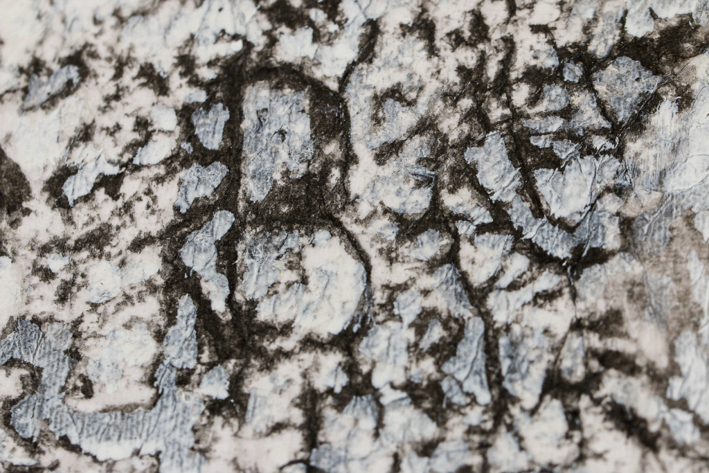 Detail of a canvas surface with a frottage pattern, taken from a wall with cracks and engraved names.