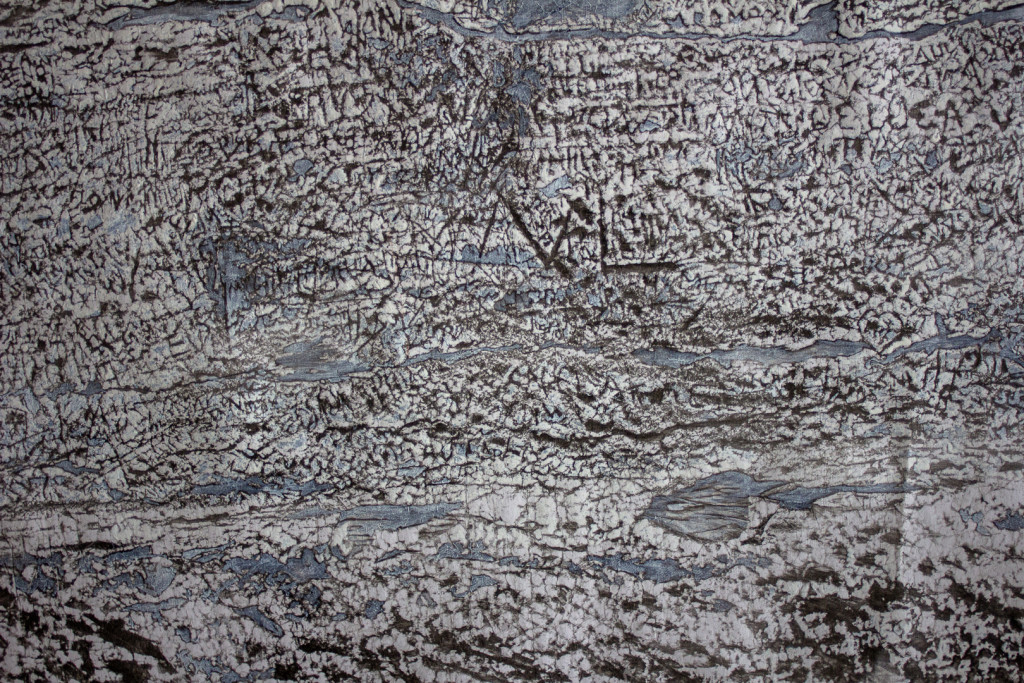 Transfer prints of detail rich engravings in black, white and blue color tones