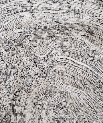 Decaying fingerprint lines.