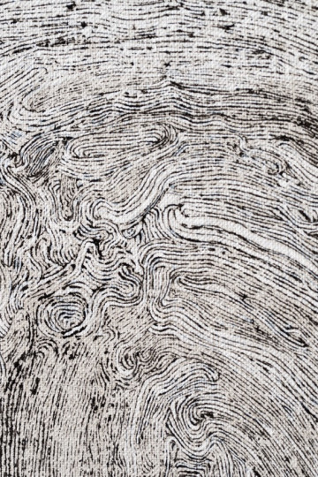 Decaying fingerprint lines.