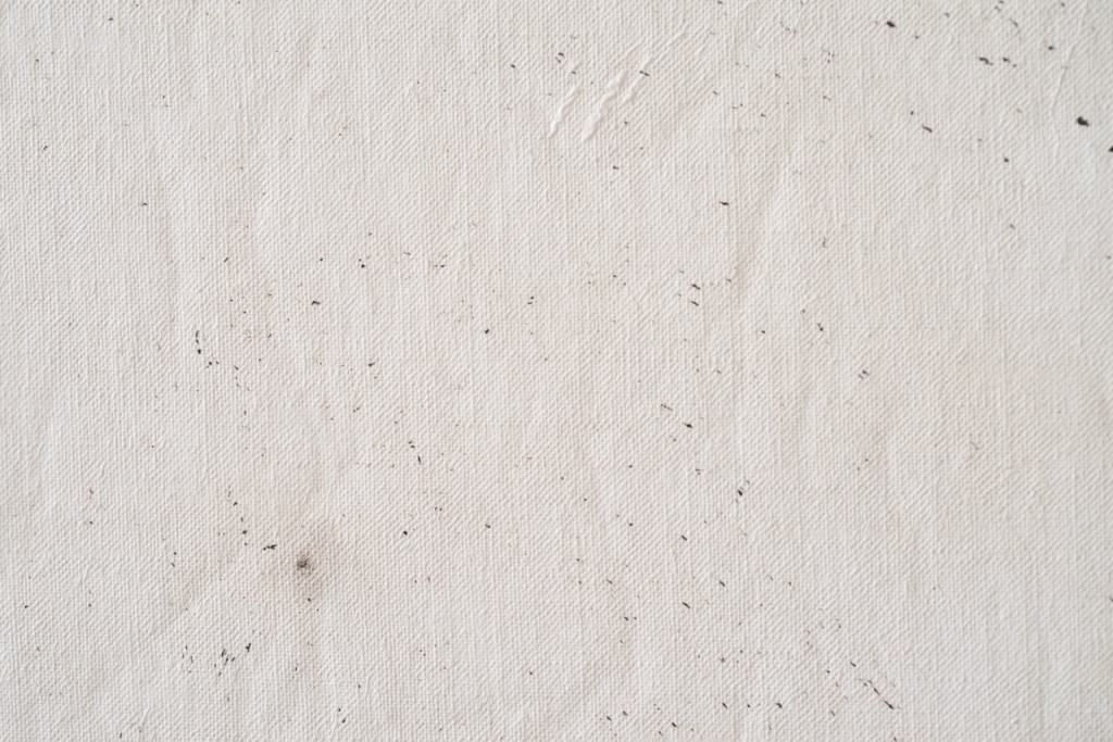 White canvas with black dots.