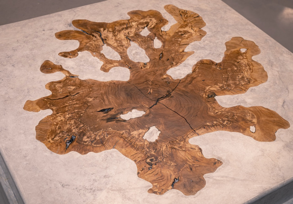Nadia Kaabi-Linke, To the Olives, 2026. Top view of the olive tree trunk cross-section set flush into the marble surface of the plinth.
