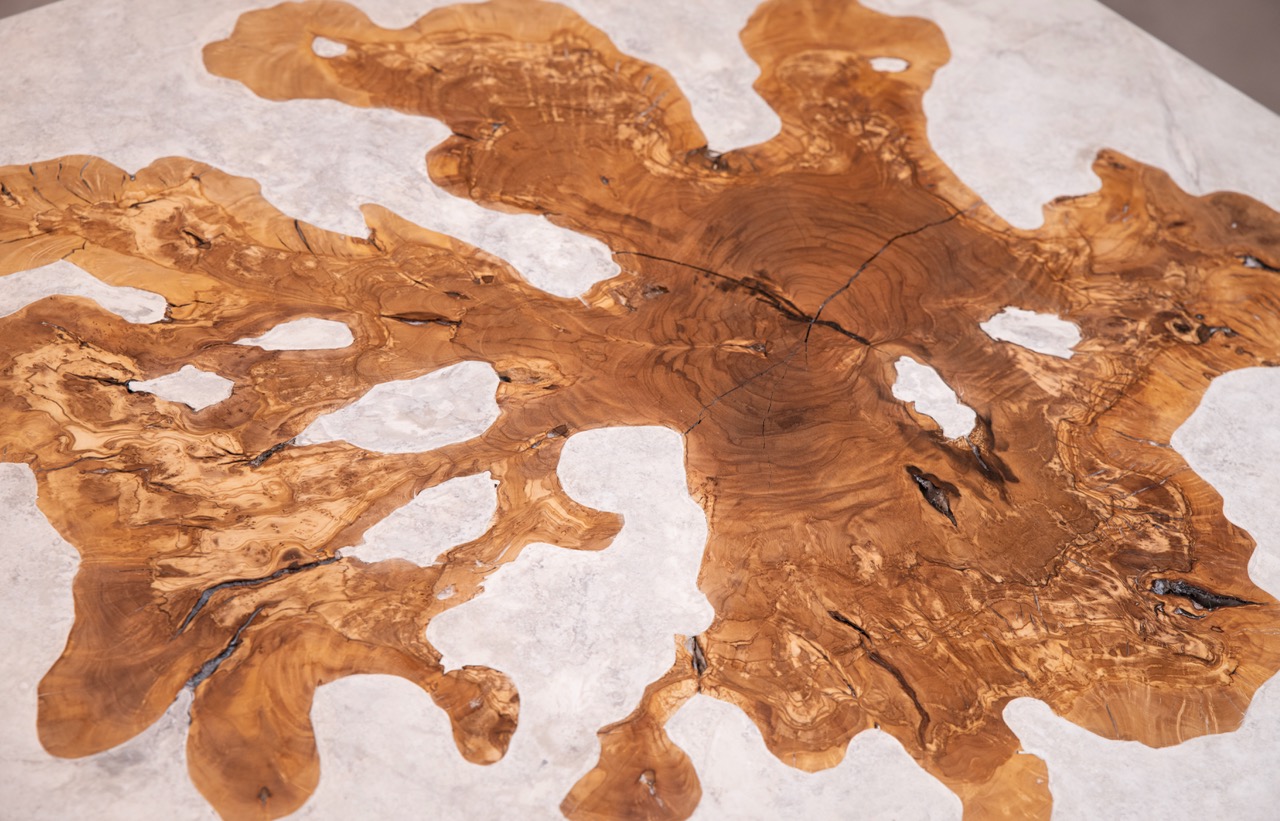 Nadia Kaabi-Linke, To the Olives, 2026. Close-up of the olive wood cross-section inlaid in the white marble plinth, showing the irregular trunk outline, growth rings and cracks.